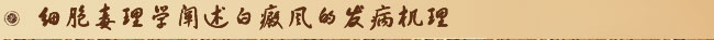 细胞毒理学阐述白癜风的发病机理